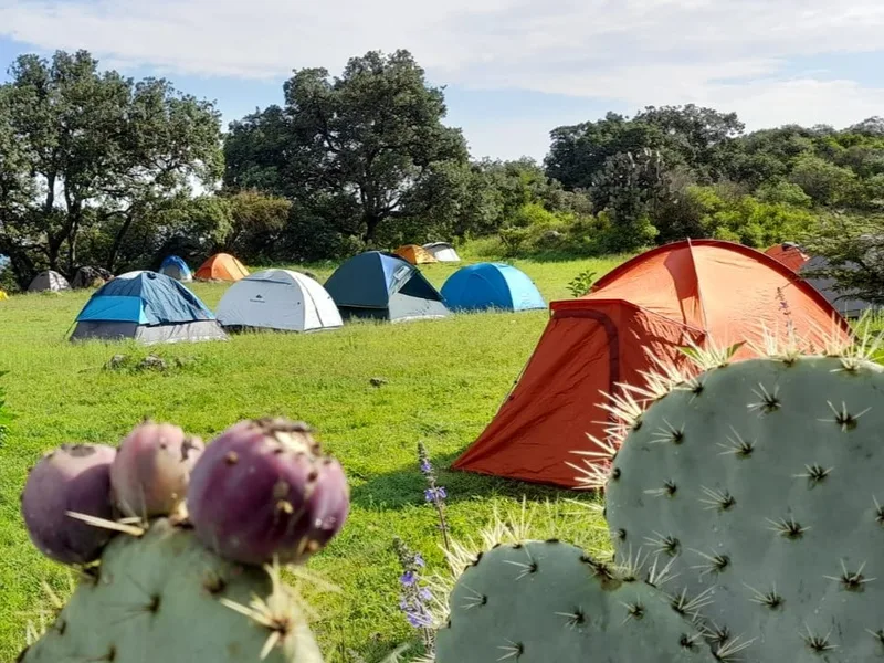Querétaro. 2023 13